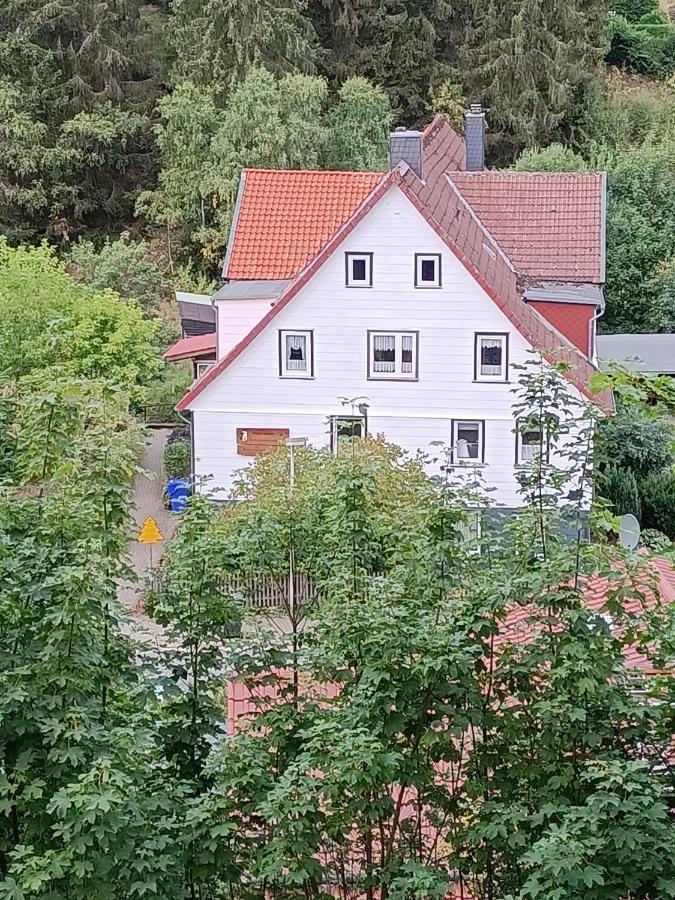 Ferienwohnungen Untermuehle, Rothenbergerstr. 12 Altenau  Bagian luar foto