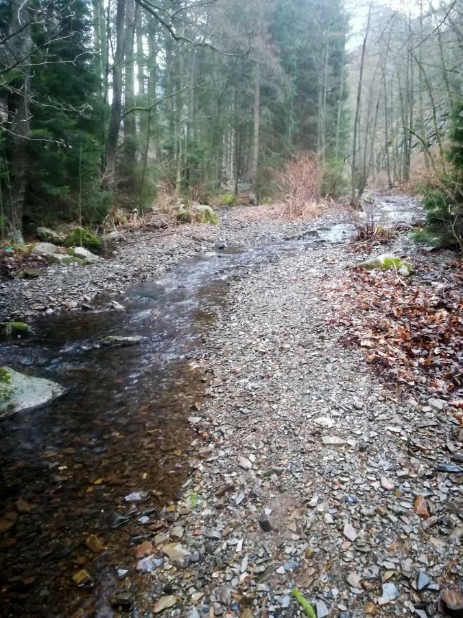 Ferienwohnungen Untermuehle, Rothenbergerstr. 12 Altenau  Bagian luar foto