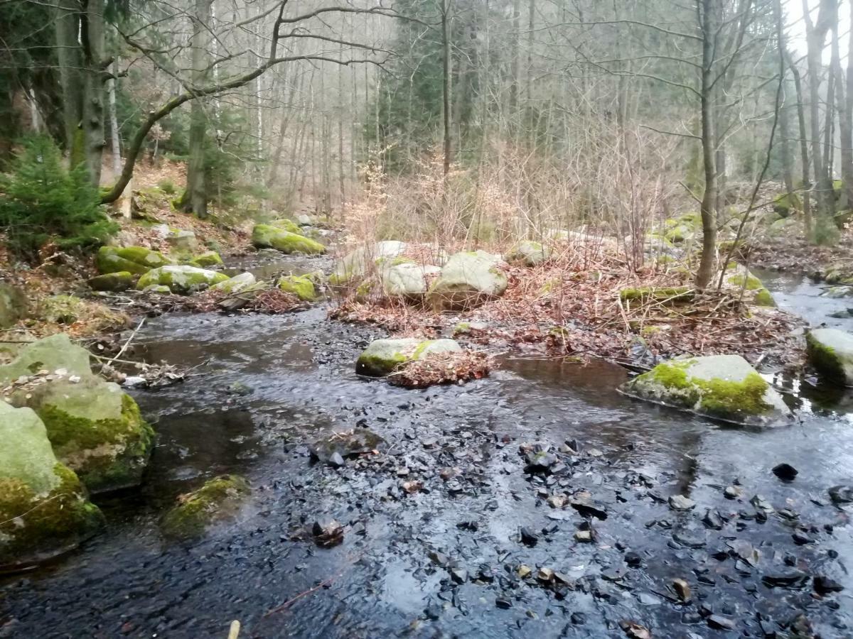 Ferienwohnungen Untermuehle, Rothenbergerstr. 12 Altenau  Bagian luar foto