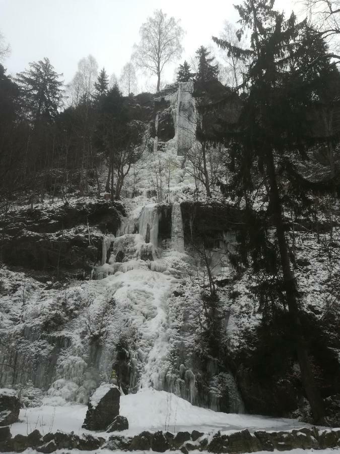 Ferienwohnungen Untermuehle, Rothenbergerstr. 12 Altenau  Bagian luar foto